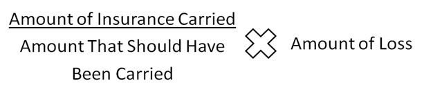 co insurance equation